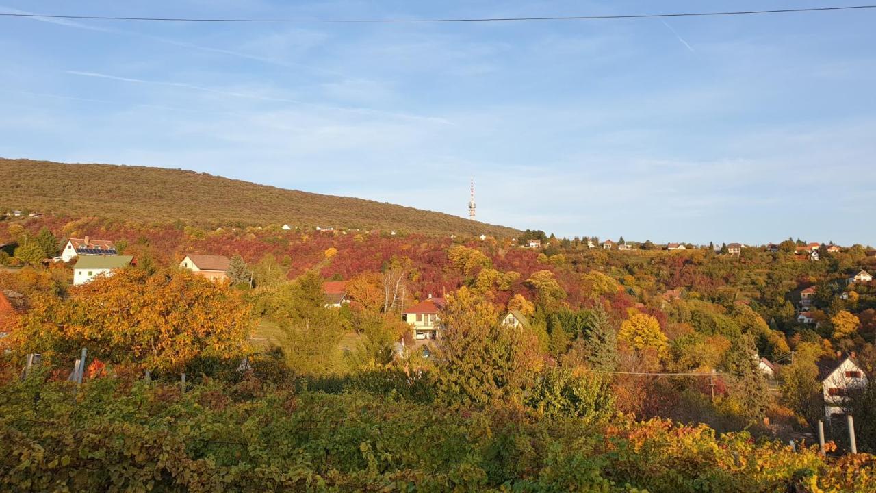 Villa Hillside