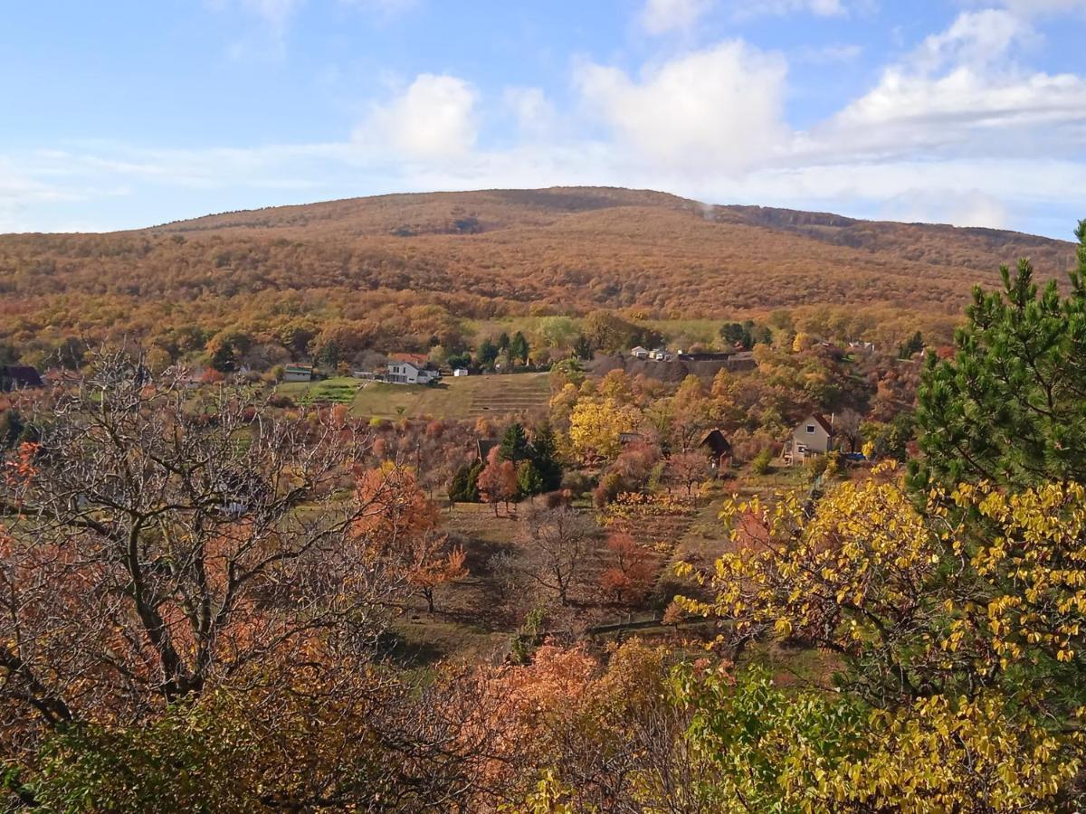 Villa Hillside